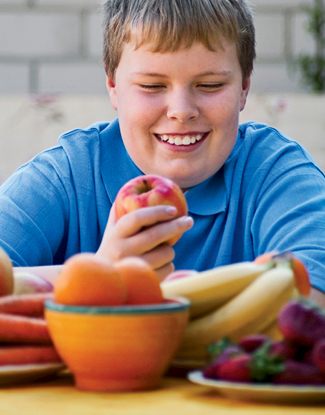 Junk food laws in schools. Junk food laws 2